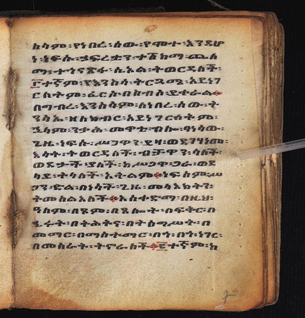 Texts in the Ethiopic
