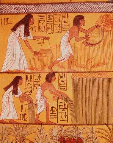 Document 2 Question 1. This is part of a wall painting in the tomb of a wealthy Egyptian. The top part, or register, shows this Egyptian and his wife harvesting wheat.