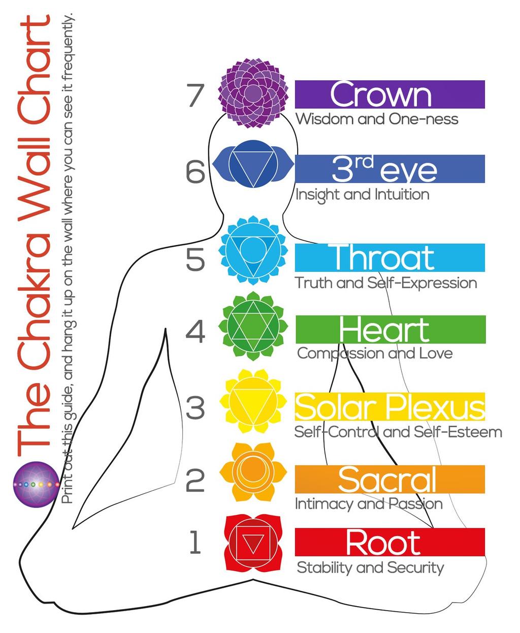 6 The Chakra Map Show