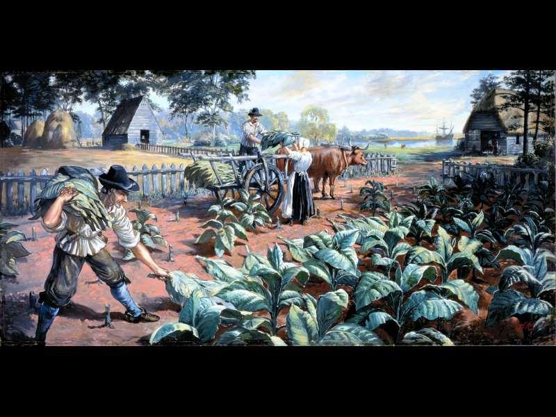 But most Virginians were small farmers who grew tobacco on 50-acre