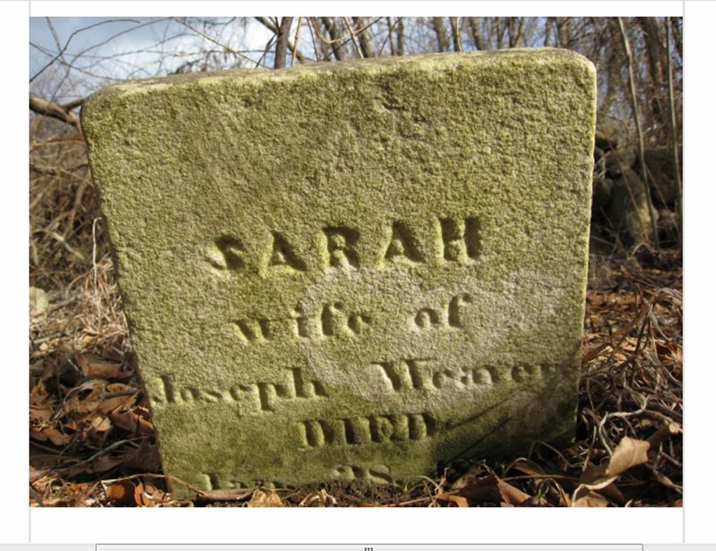 THE MATRIARCH SARAH