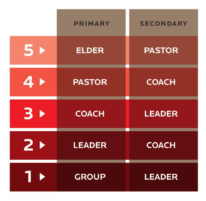 Leadership Care and Counsel Guide The following stages of conflict, struggles and sin within groups define the processes of pastors, coaches and leaders in providing care and counsel.