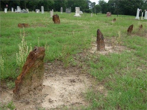 New Harmony, Texas, which is about seven miles north-west of Tyler. There is a cemetery in New Harmony, but the earliest carved headstones are from 1862.
