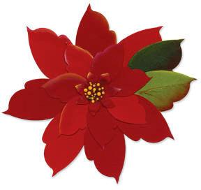Sacred Heart Catholic School Poinsettia Sale The school is selling Poinsettias this Christmas season. These beautiful, live plants come in a plastic pot with a decorative red foil wrapper.