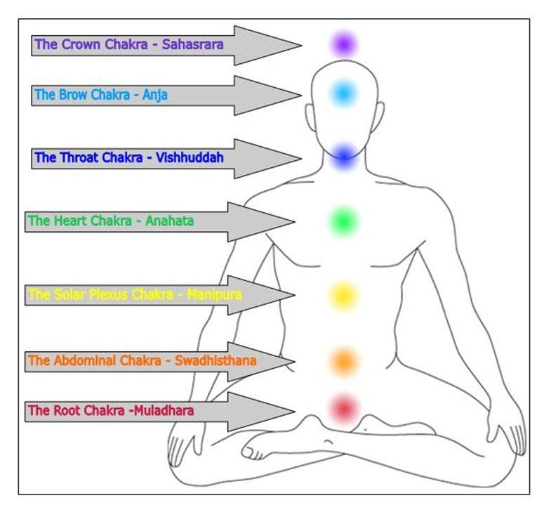 Vishhuddha (the throat chakra). Visha means impurity or poison and Shuddhi means purification. This Chakra is therefore the centre of physical and spiritual purification.