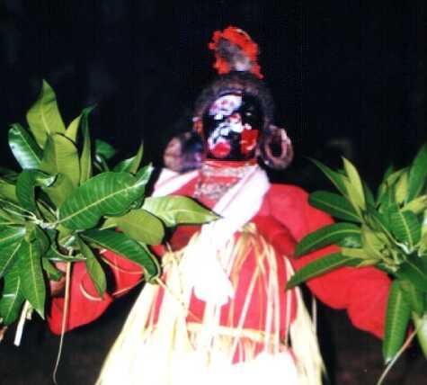 In order to use certain plants and products or parts of plants for the performance of mudiyettu, the protection and cultivation