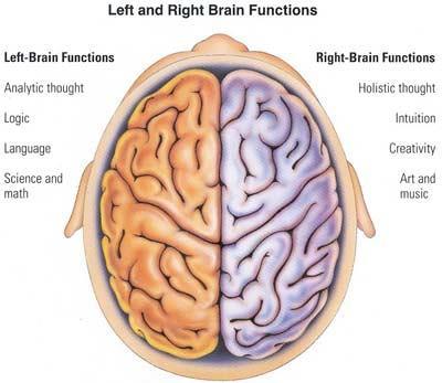 Bilateral symmetry that is, equal amounts of electrical activity in the brain s left and right hemispheres is one of meditation s crowning achievements.