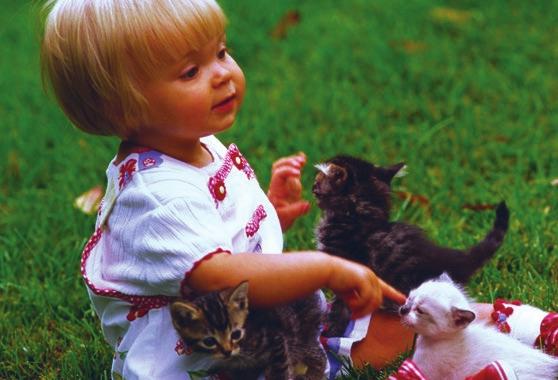 October 12, 2014 God Made My Hands God made our hands. Where are your hands? Point to the girl s hands. The girl is petting kittens with her hands. Thank You, God, for making our hands.