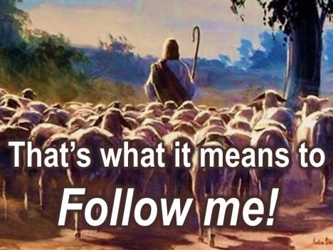 shepherds of my sheep too. Come and follow me.