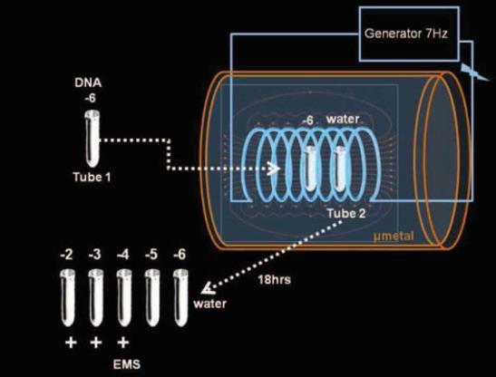 Experiment DNA Teleportation Luc Montagnier, who shared the Nobel Prize for medicine in 2008 - establishing that HIV causes AIDS DNA can encode electromagnetic imprints of itself into distant fluid -