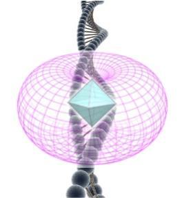 Energy Medicine New The Akashic Factor - DNA I was shown a combination of the DNA, a large torus and a crystalline pyramid It looked as if the torus could ride up and down