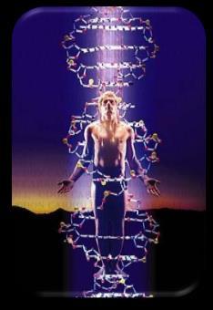 Energy Medicine New The Akashic Factor - DNA DNA is portal through which we can receive new information and transformative healing.