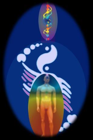 Energy Medicine New The Arrival of UFH The work was gifted through another series of visionary meditative experiences It is performed first by bridging and