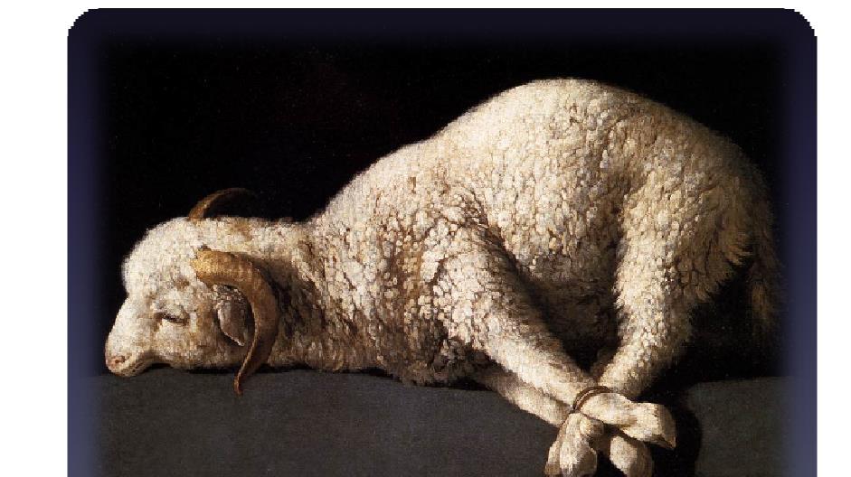6. Behold, a Lamb Rev 5:6-7 And I looked, and behold, in the midst of the throne and of the four living creatures, and in the midst of the elders, stood a Lamb as though it had been slain, having