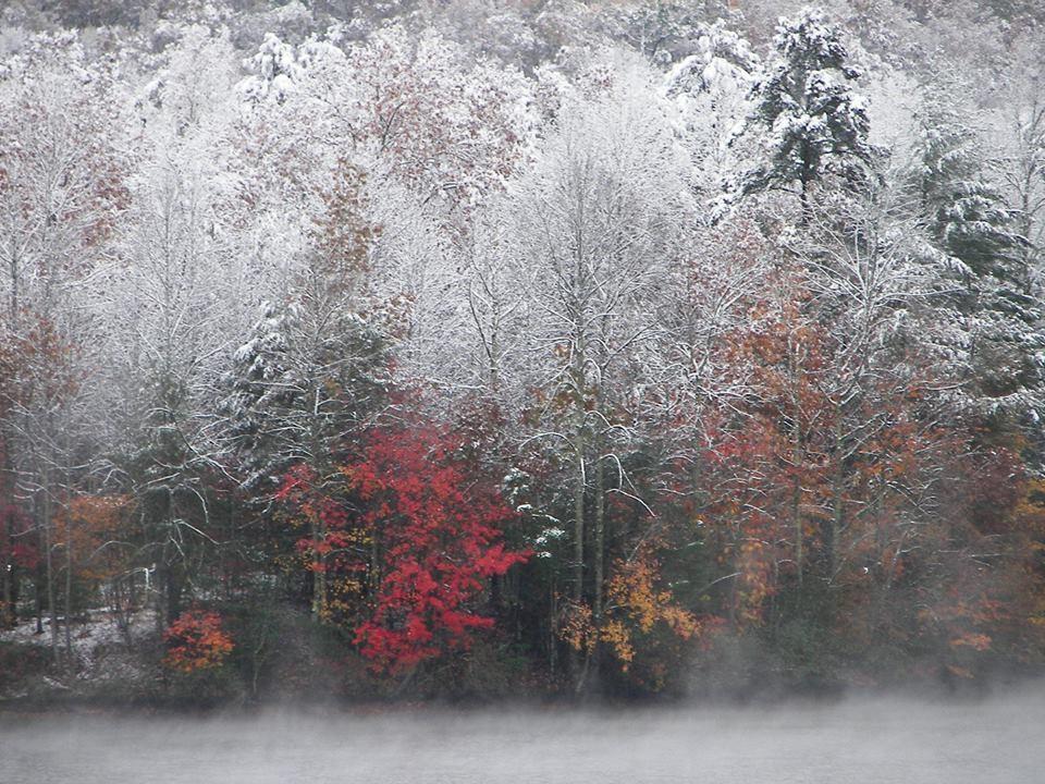 Connie Szabo Schmucker Celebrating Capturing Magic While on vacation in Tennessee, I had the magical experience of seeing a rare snow storm during peak fall color.