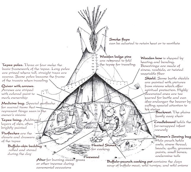 How did the Indians survive on the Plains? To explain how these allowed the Indians to survive on the Plains. To describe the role of the horse, buffalo and tipi.