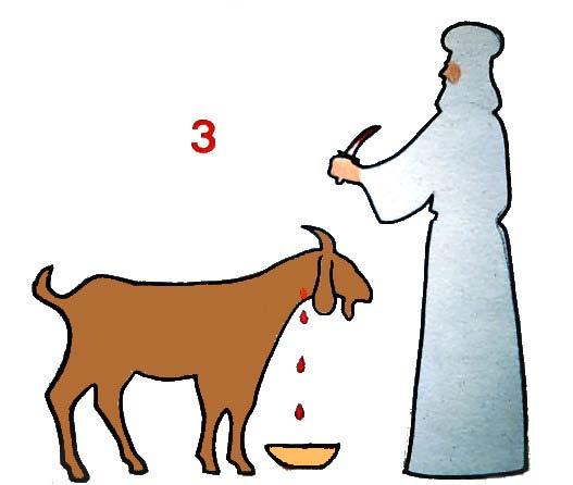3: First he would take the Lord's goat and he would NOT confess sins over that goat. This goat was a sin offering.