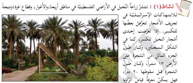 25) And in geometry: "Activity 1: Palm tree growing is prevalent in the Palestinian lands in the regions of Jericho, the Jordan Valley and Gaza.