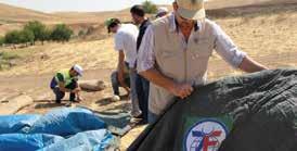 In response to the displaced Iraqis urgent need for food and shelter, ZF rushed tents and food packages to northern Iraq and the Turkish