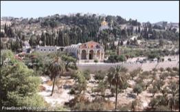 Mt. Of Olives, Garden of Gethsemane Day 8, (Monday), May 13, 2019 Today we ll see so many wonderful sites & places from the Bible stories we have learned about since childhood.