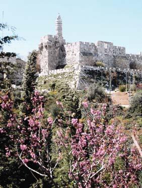 in Galilee to Jerusalem,