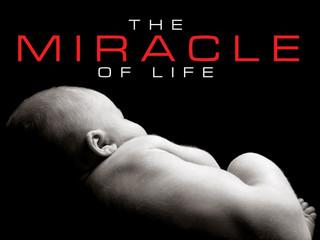 Catholics 4 LIFE To soften hearts, change minds and advance the sanctity of human life To order a copy of the Miracle of Life