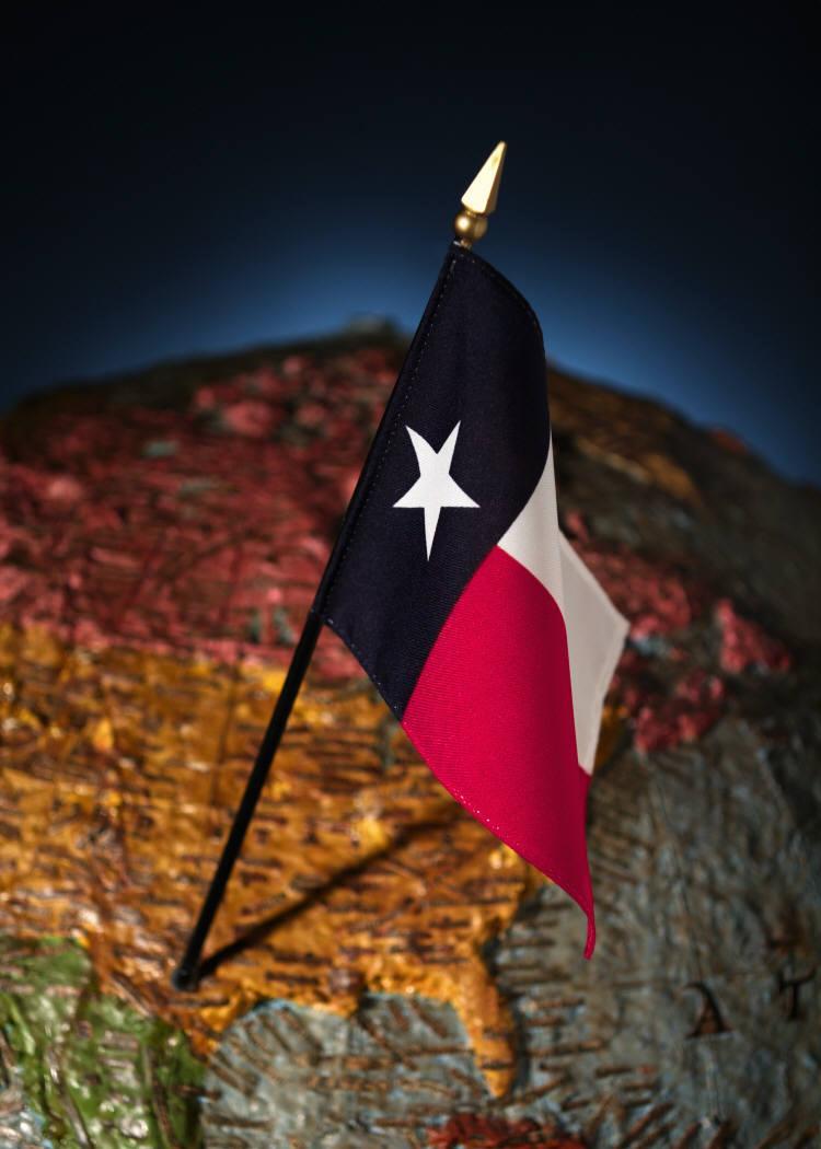 ANNEXATION September 1836 Sam Houston is elected President of the Republic of Texas The citizens voted overwhelmingly for annexation by the United