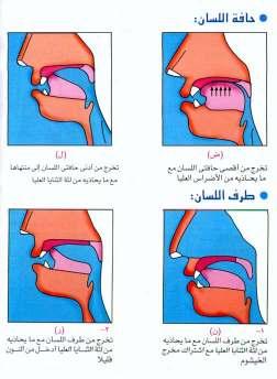 ن نون Noon ال ق راء ة Al-qiraa'ah Phonetics Pronunciation: Like N in English. Exit: Between the tip of the tongue and the gums of the two upper central incisors. Noon is a light letter.