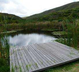 Or you could go walking in the milkwood forest, swim in the natural pools or visit the ocean.