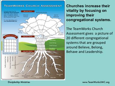 The TeamWorks Church Assessment gives the church team a picture of the vitality of 20 different congregational systems.
