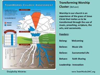 Here is an example of a cluster focused on Transforming Worship. Note: 100% in all the systems is being used for an example.