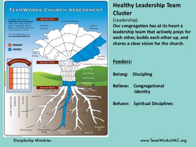 Here is an example of the Healthy Leadership Team Cluster this is to show