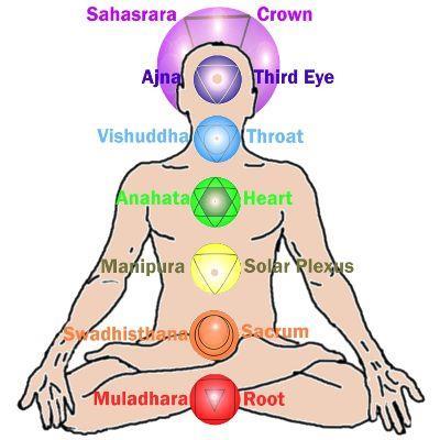 Mudras are nature s way of healing. The finger tips of every living being have many concentrated nerve root endings which are free energy discharge points.