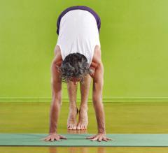 1. Place the palms on the mat, shoulder width apart, fingers 2-4cm from the wall (photo E has a anterior view of the pose to show the hand width). 2. Walk the legs in until the shoulders are directly above the hands and the hips lifted as high as possible.