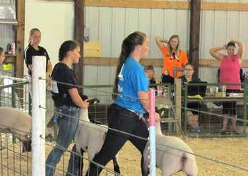 FFA represents at Buchanan County Fair By Natalie Risse, Chapter Reporter During the Buchanan County Fair, July 6-9, Wapsie Valley FFA members kept busy by collecting money at the entrances for the