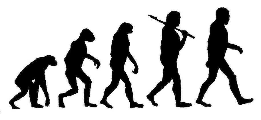 Living with Physics Example 2: Evolution Given the nearly universally accepted theory of evolution, humans evolved from lower apes, which evolved from lower primates, which evolved from.