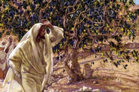 Who is Jesus the Christ? Colossians 1: 13-20 (1-12) john 1:1-5, 9-14 Portions adapted from Jesus: Why?! by Michael Deutsch @ SermonCentral.Com Have you ever asked yourself this question.