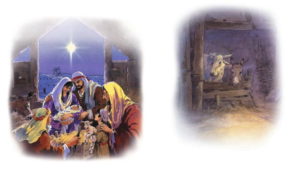 A s the baby Jesus slept, the shepherds told Mary and Joseph everything that had happened that night. They talked about the angels and the song that they had sung.