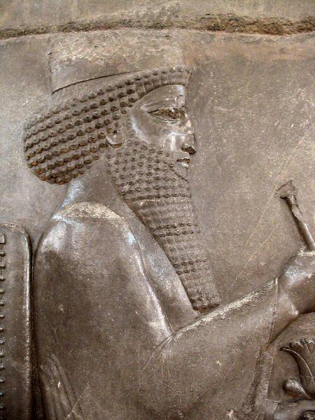 DARIUS the Great The Rulers of Persia 522 BC Took power Well-organized Government Peace &