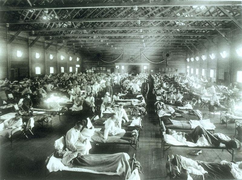 After WWI 30 Million died when soldiers returned from the front (20 million Indians) Until very recently, epidemic diseases were a predictable cause of mortality Recent outbreaks of the Ebola Virus