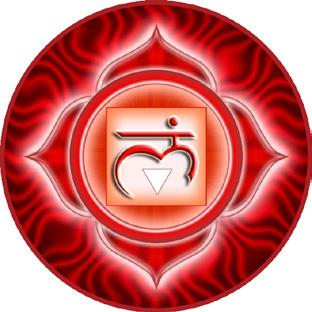 iam This is our instinctive Chakra which is responsible for our will to survive and our ability to succeed in the material world. When the Root Chakra is healthy, we establish the sense I Am.