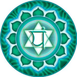iserve The Thymus Chakra is a relatively new Chakra as far as its activity and importance are concerned.