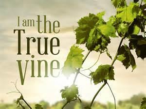fruit you may or exemplify apart from the true vine is not profitable to God When people tend to seek God apart from the Spirit of God