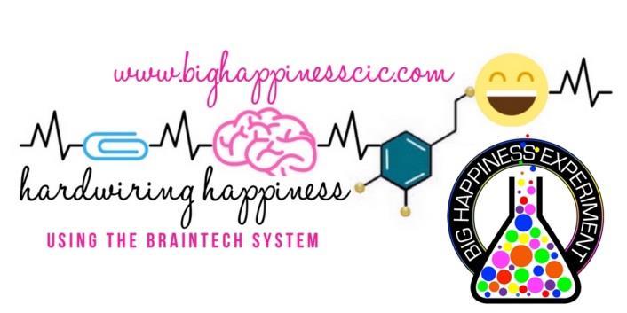 I am extremely proud to be the founder of The Big Happiness Experiment and our unique BrainTech System and am excited about our further expansion as we train our growing team of the happiest coaches