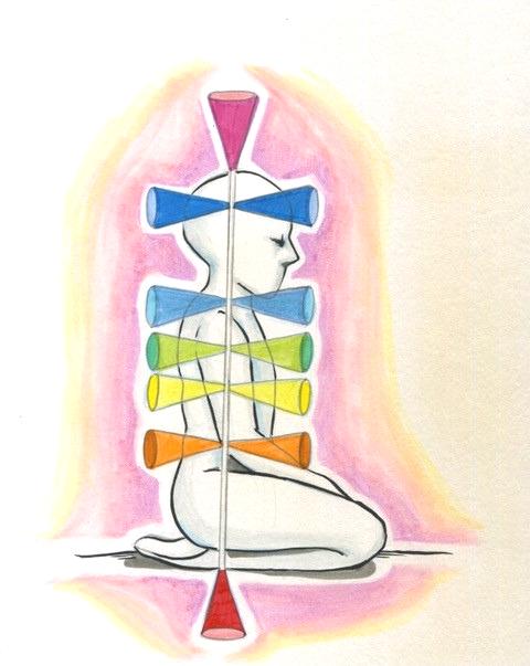 WHERE DO CHAKRAS LIVE? Your main seven chakras live in your spine from the tailbone to the crown.