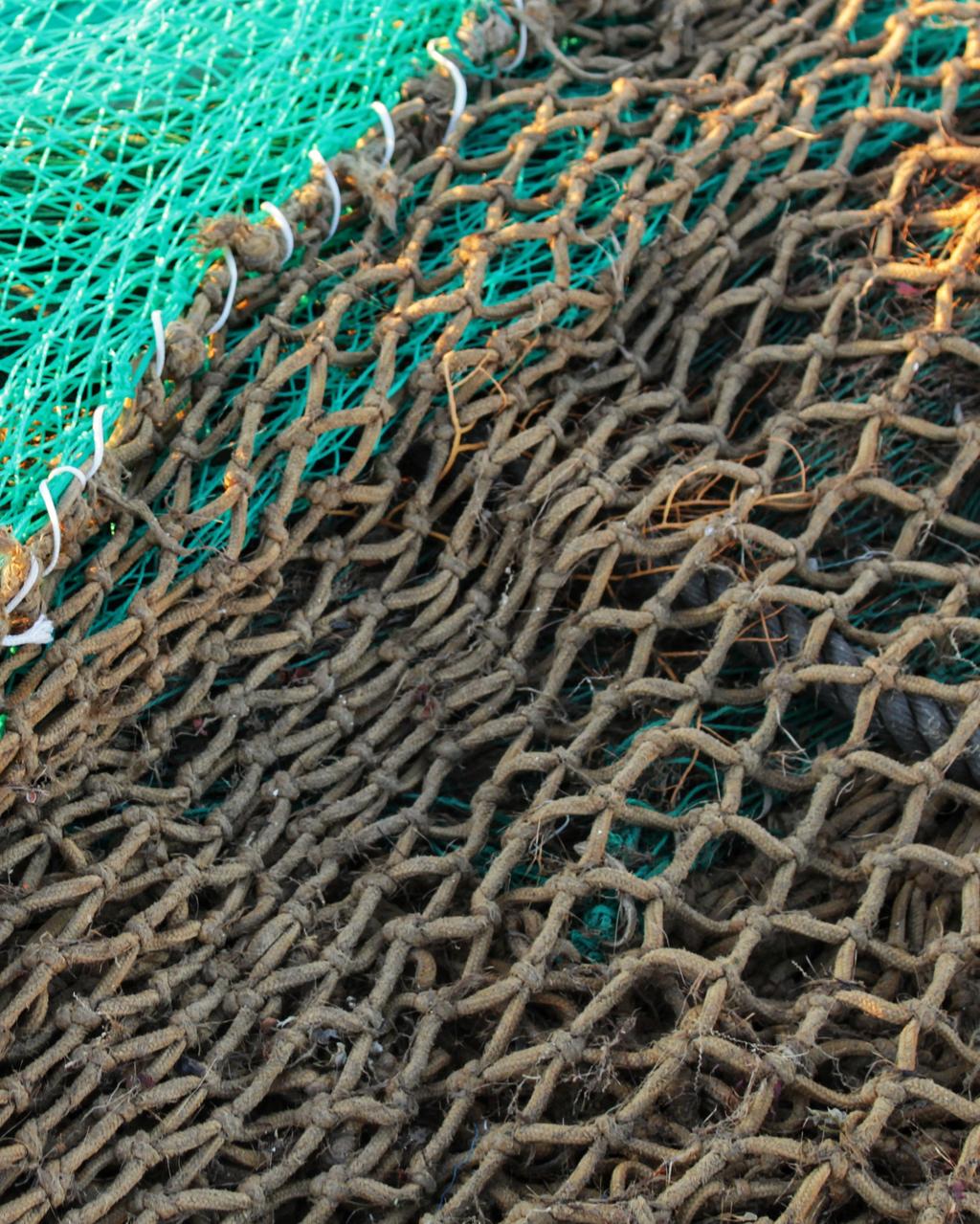 down your nets for