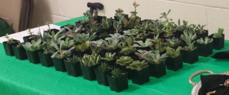 Ed also provided handouts to us and had plants for sale.