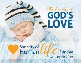 We have provided these resources to make your observance of Sanctity of Human Life Sunday even more special. Visit www.prolifelouisiana.