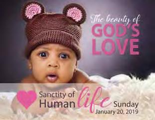 ..Understanding the Tragedy of Abortion Page 6...Does Society Value the Lives of the Unborn? Page 7...What is Sanctity of Human Life Sunday?