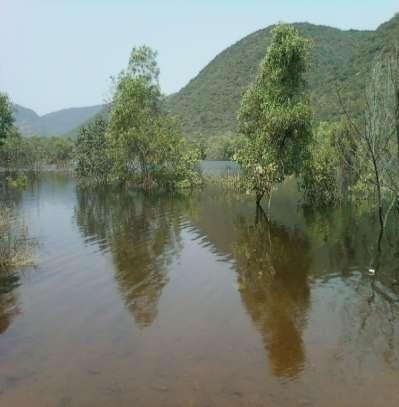 13.3 Geography Eastern and Western Ghats Long mountain chains Eastern Ghats Several rivers flow through these green mountains, includes hardwoods Rivers unsafe with